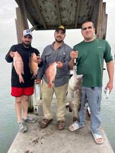 Grouper & red snapper catch of the day!